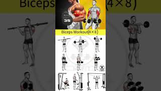 Best workout for biceps 💪 4×8 health gymlover duet 100kview [upl. by Ecurb]