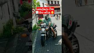 කෙල්ලො ටික බය වෙලා 😅 automobile hornet250 srilanka slbikes bikevideo dream cbr250rr coking [upl. by Collayer]