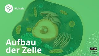 Aufbau der Zelle Bio leicht gemacht – Biologie  Duden Learnattack [upl. by Yeo]