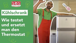 Wie testet und ersetzt man den Thermostat eines Kühlschranks [upl. by Kimball697]