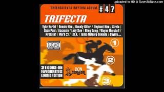 Dj Shakka  Trifecta Riddim Mix  2003 [upl. by Rowell]