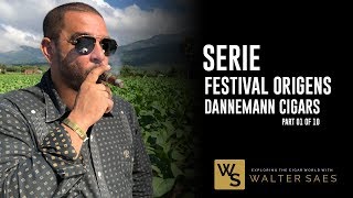 Part 110 Serie Festival Origens 2017 BahiaBrasil  Dannemann Cigars  Charutos [upl. by Cirded568]