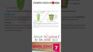 Science 7 Unit 1 Root System 13 shorts [upl. by Jermaine429]