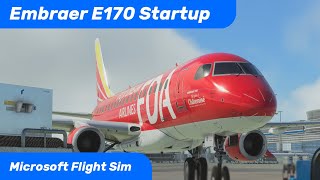 Virtualcol Embraer E170175  Engine Start Tutorial [upl. by Manbahs]