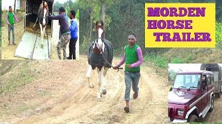 MORDEN HORSE TRAILER FOR LONG DISTANCE TRAVELLING VERY COMFORT HORSE COME FROM PANJAB [upl. by Anna-Maria]