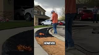 Why Did This Man Burn His Lawn 🔥🌱 You Will Be Surprised Why 😲 [upl. by Horowitz]