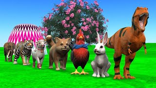 Paint amp Animals Cat Pig Rabit Buffalo Lion Fountain Crossing Transformation Animal Cartoon  P1 [upl. by Shanie]