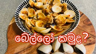 Clams in Sauce  රසවත් බෙල්ලෝ  Clams recipe sinhala by ANstyle Cooking [upl. by Adnael]