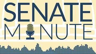 Senate Minute 2019  Episode 8  Sine Die [upl. by Oiluj]