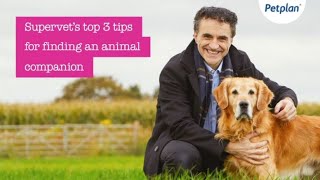 Petplan  Supervet Noel Fitzpatricks top tips for finding a new animal companion [upl. by Ffej122]