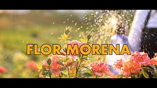 Los Felinos  Flor Morena Video Oficial [upl. by Sewole]