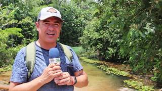 UMA LAGOA INCRIVELMENTE VERDE ENTRE MORROS E CACHOEIRA GRANDE  MA LAGOA DE COROATÁ [upl. by Almat]