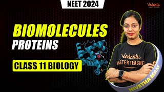 Biomolecules  Proteins  Class 11 Biology  NEET 2024  Nivetha Maam [upl. by Eltsyrhc]