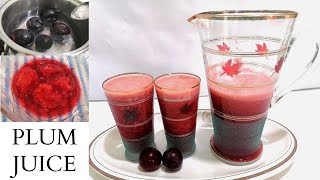 Fresh PLUM JUICE  Drinks and Juices  Easy Busy Cooking [upl. by Levins]