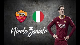 Nicolò Zaniolo ● Skills Shots Dribbles ●│2019  2020│►HD [upl. by Domela]