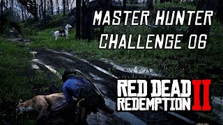 Red Dead Redemption 2  Master Hunter Challenge 6  Kill 5 Cougars Using A Bow amp Skin Them [upl. by Nahgrom71]