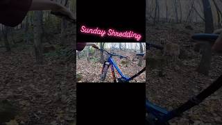 Mountain Biking in woods mtb mtbbikes [upl. by Reggi575]