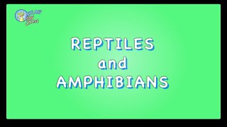 REPTILE and AMPHIBIAN names English Language [upl. by Lyda]