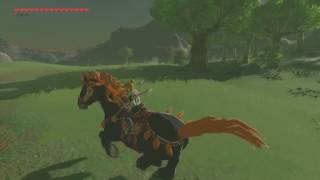 Legendary Gerudo Stallion  South Of Mt Hylia – Zelda Breath Of The Wild [upl. by Anaugal566]