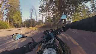 BMW F750GS  QUICKSHIFTER  Burning Backroads 4K [upl. by Nylarej]