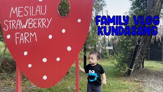 Family Vlog di Mesilau Strawberry Farm Kundasang [upl. by Carey256]