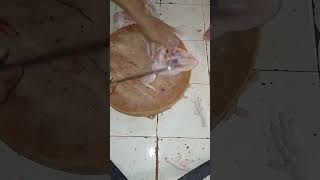 Skills potong ayamcarapotongayam ayampotong cuttingchicken cuttingskills butcher [upl. by Bigford]