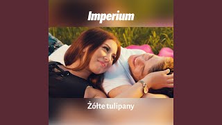 Żółte tulipany [upl. by Yntirb]