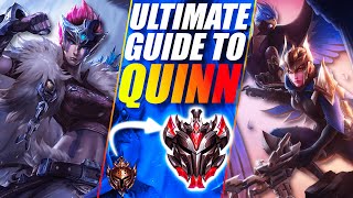 ULTIMATE GUIDE TO QUINN BY THE RANK 1 QUINN  Everything You Need To Know to Play Quinn [upl. by Atnad]