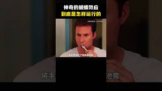 蝴蝶效应正在改变你的人生冷知识 涨见识 蝴蝶效应 [upl. by Aynod]