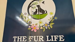 The Fur Life Pet Care  Veterinary Hospital  Sector 46 Gurgaon Haryana Vet Hospital Visitvlog [upl. by Oinotna]