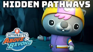 Octonauts Above amp Beyond  Hidden Pathways ⛰️  Compilation  Octonauts​ [upl. by Welles]