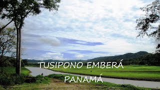 TUSIPONO EMBERÁ PANAMÁ HD [upl. by Christianson851]