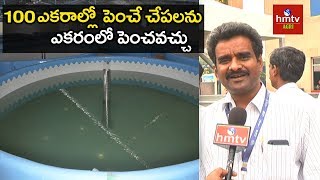 Modren Methods in Fish Farming  Recirculating Aquaculture System  hmtv Agri [upl. by Horick492]