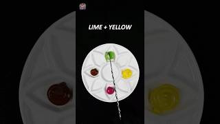 LIME  YELLOW  CARDINAL  BROWN   asmr mixcolor DASMixColorMaster [upl. by Wallinga795]