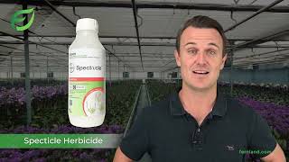 Specticle Preemergent Herbicide  Fernland [upl. by Naira]