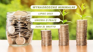 Wynagrodzenie minimalne  lipiec 2023  3600 zł brutto  umowa o pracę [upl. by Rana]