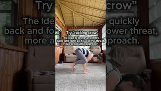 Rock your crow pose A simple tip to make crow pose more accessible and playful crowpose yogatips [upl. by Aleacem]