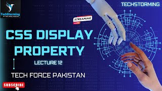 Display Property In CSS  TechStorming  Tech Force Pakistan  Samreen Siraj css youtube viral [upl. by Olegnaleahcim]