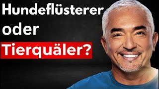 BRUTAL  So trainiert Cesar Millan Hunde [upl. by Aynav]