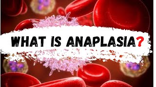 What is Anaplasia  Anaplasia [upl. by Kayle]