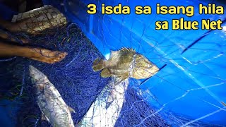 Sa unang hila 3 isda kaagad ang nahuli ng Blue Net [upl. by Eaneg]