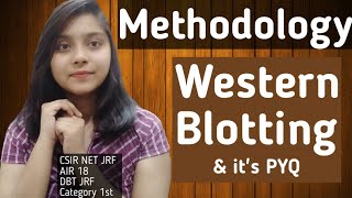 Western Blotting  METHODOLOGY CSIRNET JRF LIFESCIENCE [upl. by Arakihc]