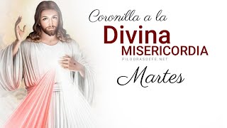 Coronilla de la Divina Misericordia Martes 2 enero 2024  Píldoras de fe [upl. by Reyotal]