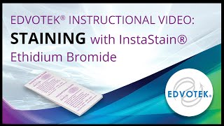 InstaStain® Ethidium Bromide  Edvotek Video Tutorial [upl. by Faulkner]