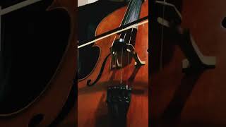 Bachs Cello Suite No 4 Allemande allemande musician classical solo youtubeshorts shorts [upl. by Yclek]