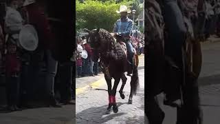 desfile por el día nacional del charro 2024 en Zapotlanejo Jalisco 🇲🇽🤠🐴shorts [upl. by Eerak867]