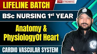 Anatomy amp Physiology Of Heart  Cardio Vascular System  BSc Nursing 1st Year  Lifeline Batch [upl. by Annid]