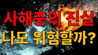 사해충 사해충에 생기는 일 [upl. by Yesmar]