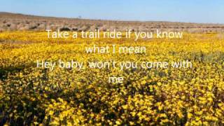 Pickin WildflowersKeith AndersonLYRICS [upl. by Yarrum573]