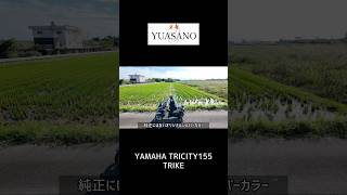 TRICITY155 TRIKE オリジナルシルバーカラー [upl. by Carrel]